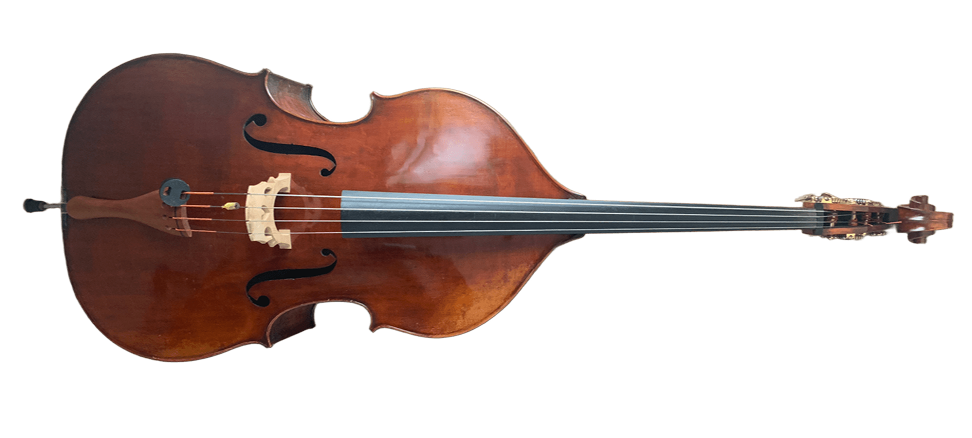 Eastman VB501